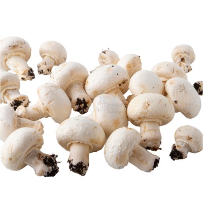 Шампиньоны свежие 500 г - купить в Будьях Варяш